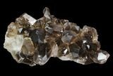 Dark Smoky Quartz Crystal Cluster - Brazil #124564-1